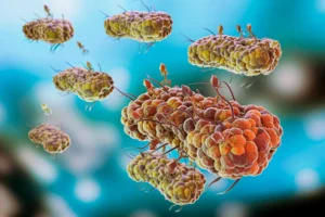Helicobacter Pylori Bacteria Contagious